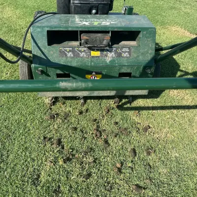 lawn aeration