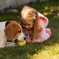 dog and child