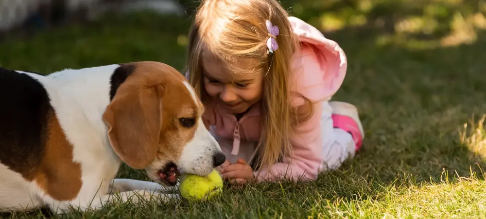 dog and child